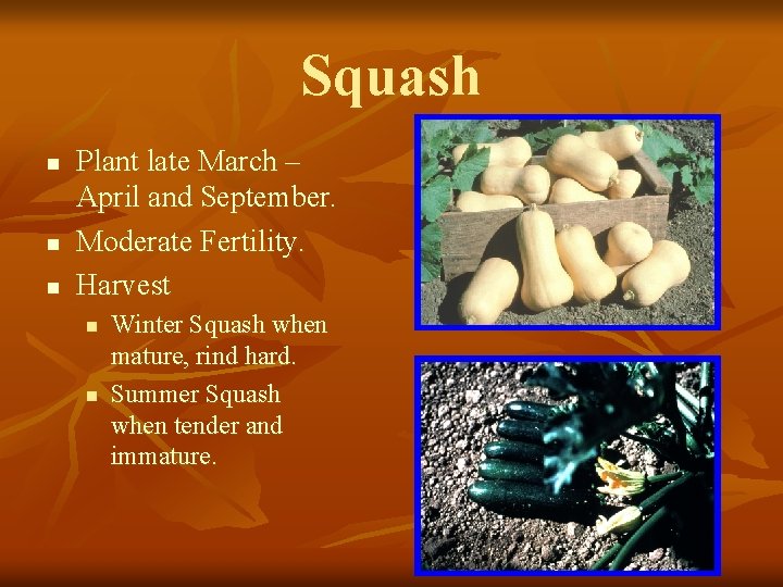 Squash n n n Plant late March – April and September. Moderate Fertility. Harvest