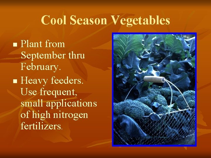 Cool Season Vegetables Plant from September thru February. n Heavy feeders. Use frequent, small