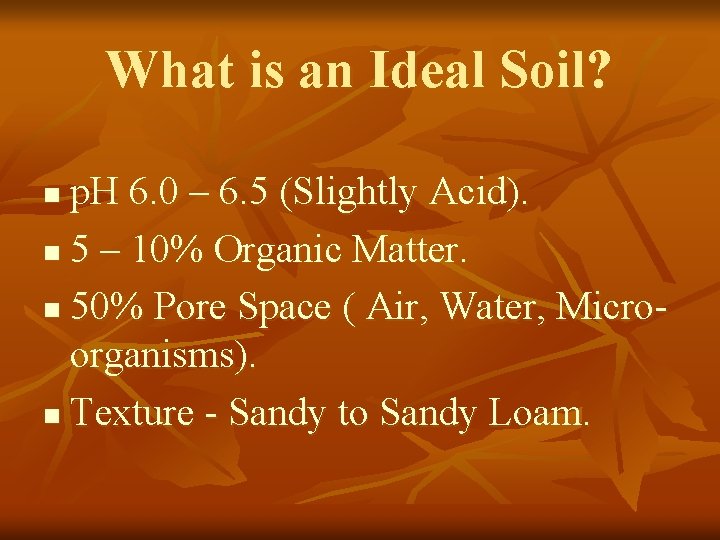 What is an Ideal Soil? p. H 6. 0 – 6. 5 (Slightly Acid).