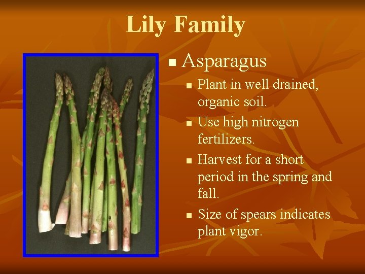 Lily Family n Asparagus n n Plant in well drained, organic soil. Use high