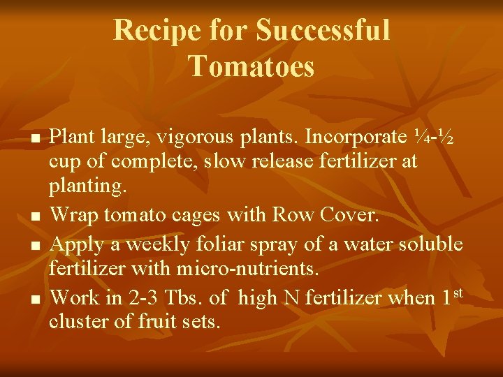 Recipe for Successful Tomatoes n n Plant large, vigorous plants. Incorporate ¼-½ cup of