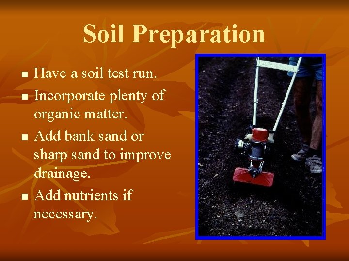 Soil Preparation n n Have a soil test run. Incorporate plenty of organic matter.