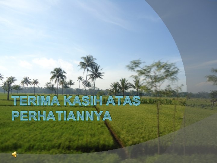 TERIMA KASIH ATAS PERHATIANNYA 