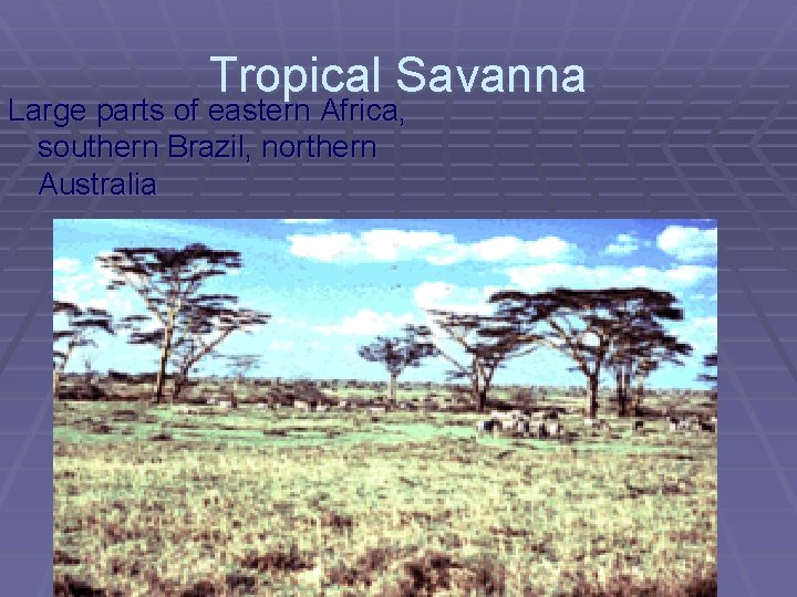 Tropical Savanna Large parts of eastern Africa, southern Brazil, northern Australia 