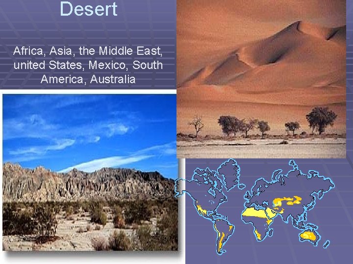 Desert Africa, Asia, the Middle East, united States, Mexico, South America, Australia 