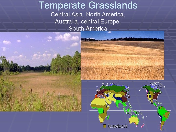 Temperate Grasslands Central Asia, North America, Australia, central Europe, South America 