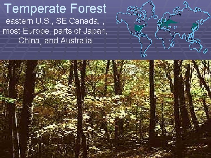 Temperate Forest eastern U. S. , SE Canada, , most Europe, parts of Japan,