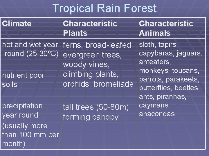 Tropical Rain Forest Climate Characteristic Plants hot and wet year ferns, broad-leafed -round (25