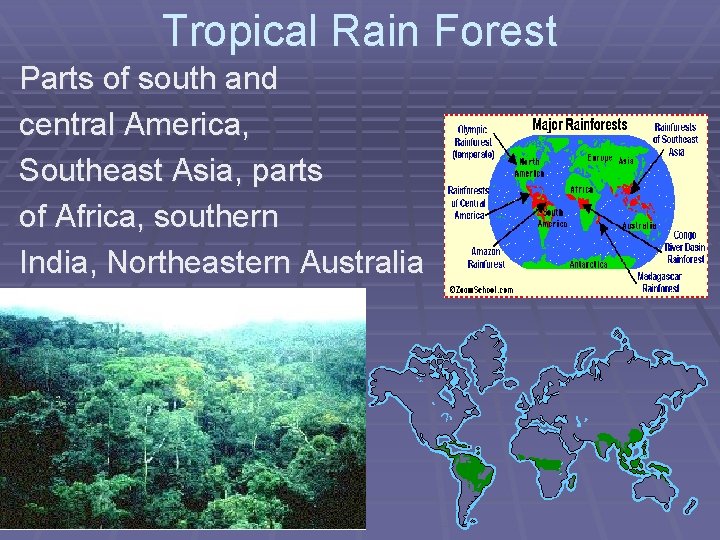 Tropical Rain Forest Parts of south and central America, Southeast Asia, parts of Africa,
