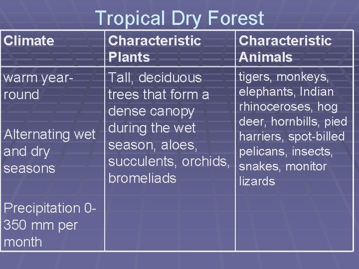 Tropical Dry Forest Climate Characteristic Plants warm year. Tall, deciduous round trees that form