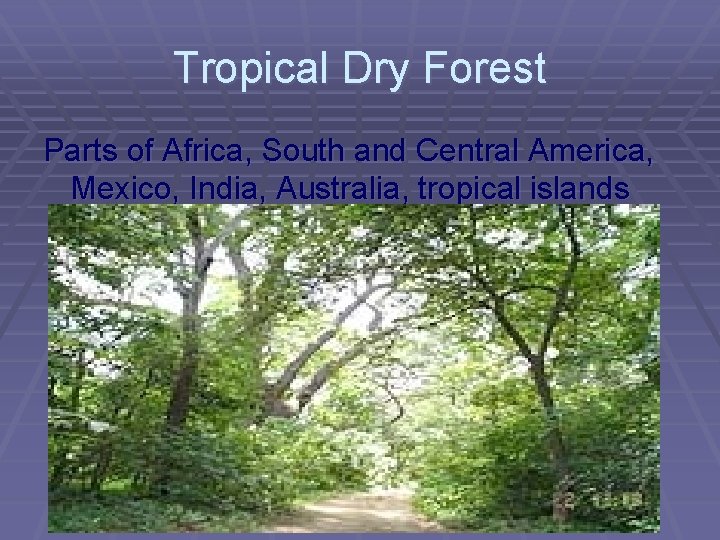 Tropical Dry Forest Parts of Africa, South and Central America, Mexico, India, Australia, tropical