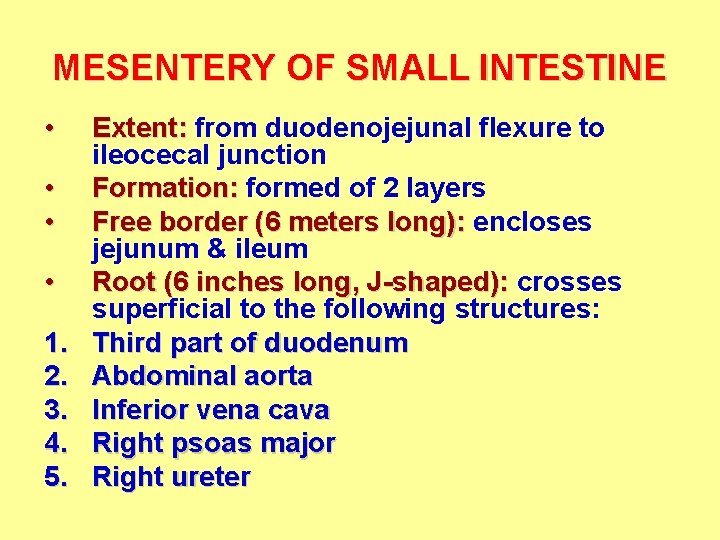 MESENTERY OF SMALL INTESTINE • • 1. 2. 3. 4. 5. Extent: from duodenojejunal