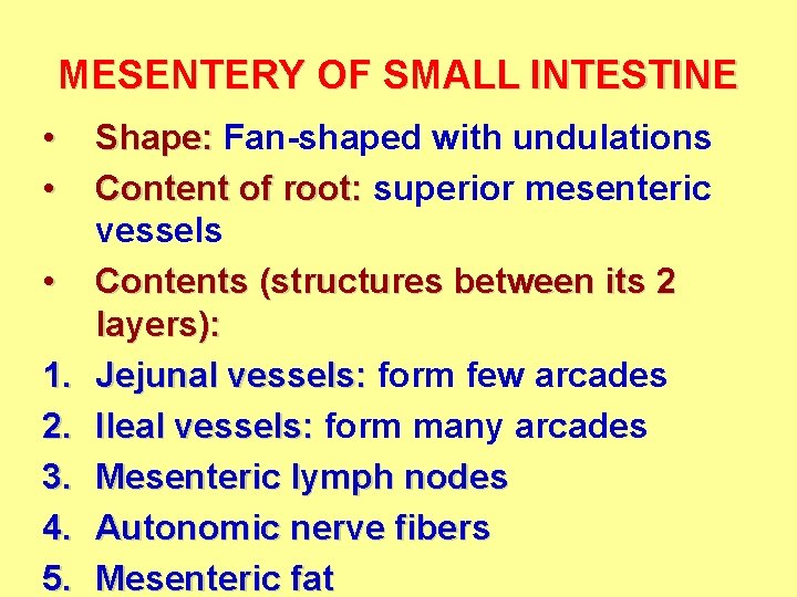 MESENTERY OF SMALL INTESTINE • • • 1. 2. 3. 4. 5. Shape: Fan-shaped