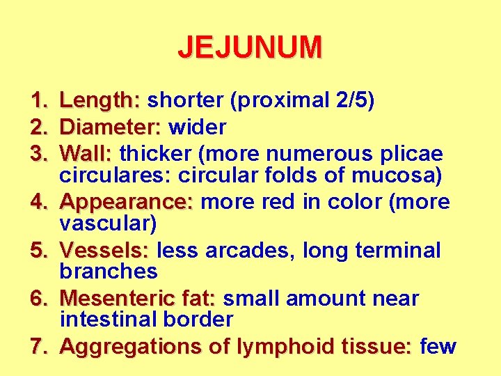 JEJUNUM 1. 2. 3. 4. 5. 6. 7. Length: shorter (proximal 2/5) Diameter: wider