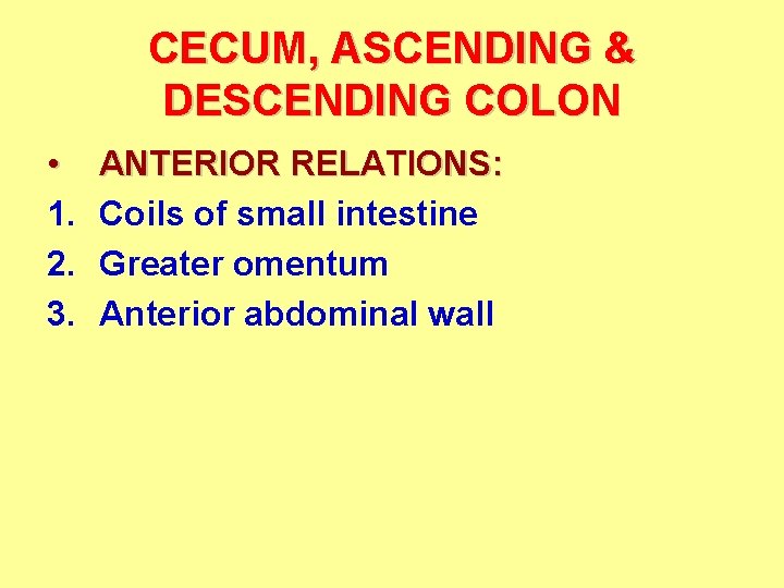 CECUM, ASCENDING & DESCENDING COLON • 1. 2. 3. ANTERIOR RELATIONS: Coils of small