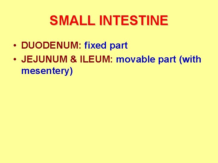 SMALL INTESTINE • DUODENUM: fixed part • JEJUNUM & ILEUM: movable part (with mesentery)