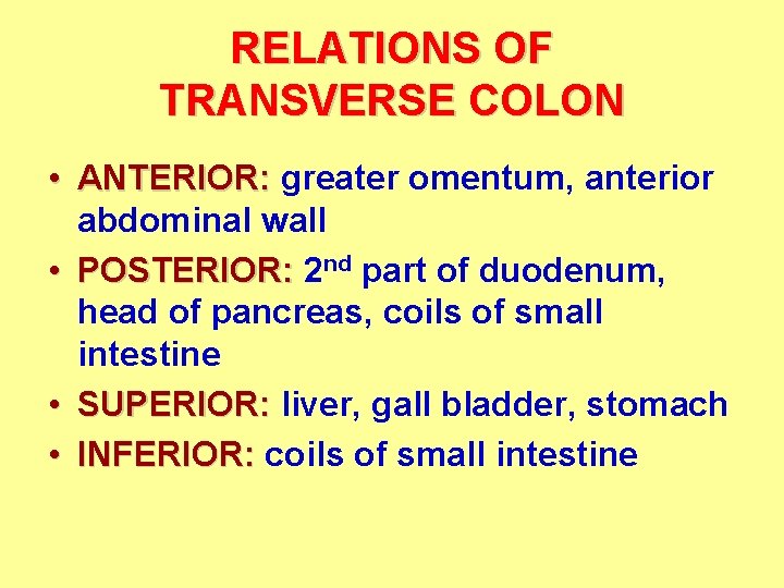 RELATIONS OF TRANSVERSE COLON • ANTERIOR: greater omentum, anterior abdominal wall • POSTERIOR: 2