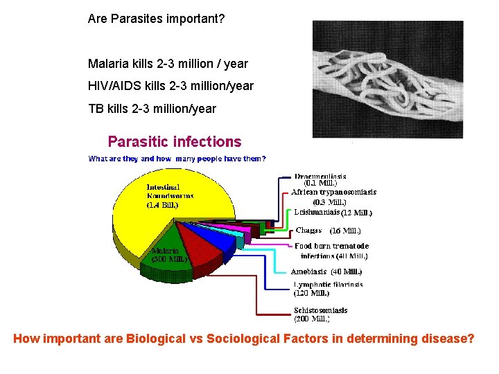 Are Parasites important? Malaria kills 2 -3 million / year HIV/AIDS kills 2 -3