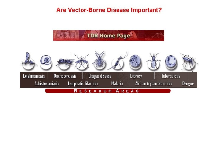 Are Vector-Borne Disease Important? 