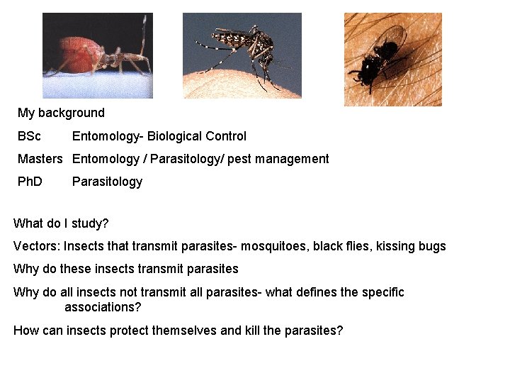 My background BSc Entomology- Biological Control Masters Entomology / Parasitology/ pest management Ph. D