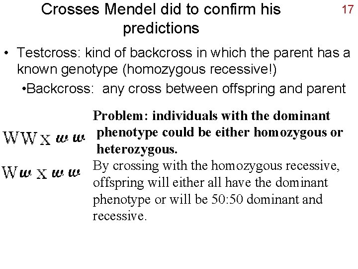 Crosses Mendel did to confirm his predictions 17 • Testcross: kind of backcross in