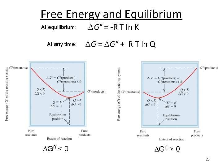 Free Energy and Equilibrium At equilibrium: At any time: G 0 < 0 G°