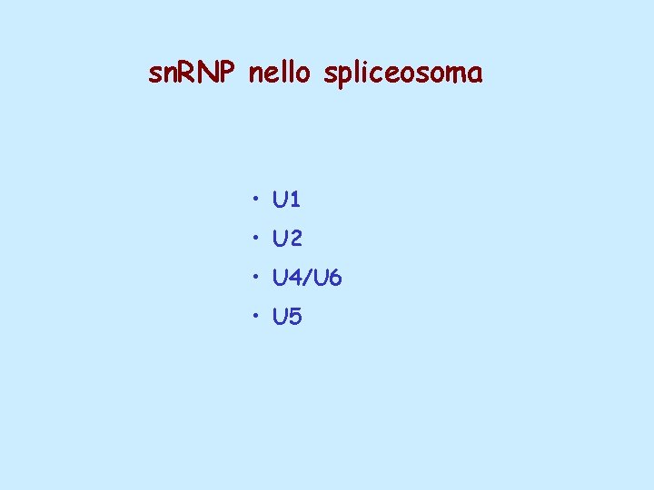 sn. RNP nello spliceosoma • U 1 • U 2 • U 4/U 6