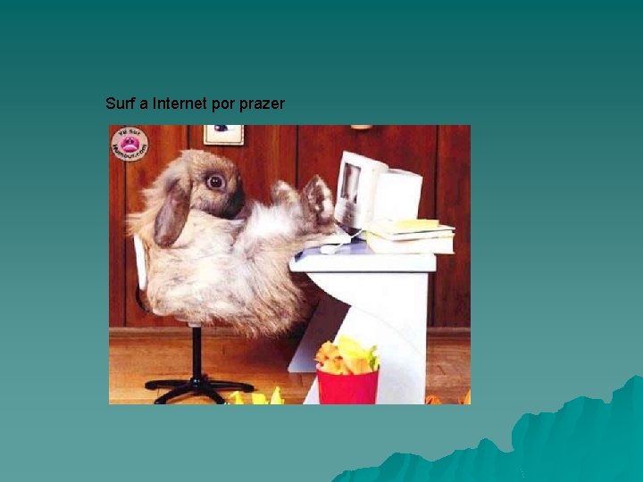 Surf a Internet por prazer 