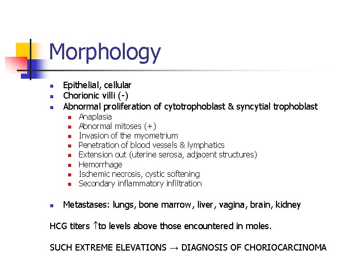 Morphology n n n Epithelial, cellular Chorionic villi (-) Abnormal proliferation of cytotrophoblast &