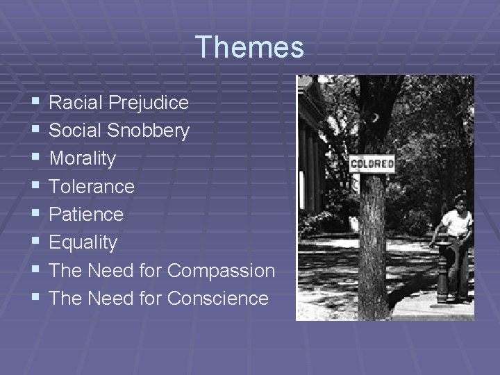 Themes § § § § Racial Prejudice Social Snobbery Morality Tolerance Patience Equality The