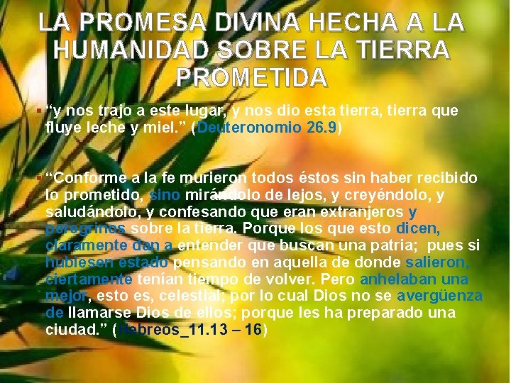 LA PROMESA DIVINA HECHA A LA HUMANIDAD SOBRE LA TIERRA PROMETIDA § “y nos