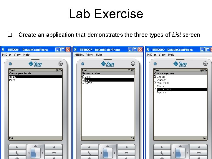 Lab Exercise q Create an application that demonstrates the three types of List screen