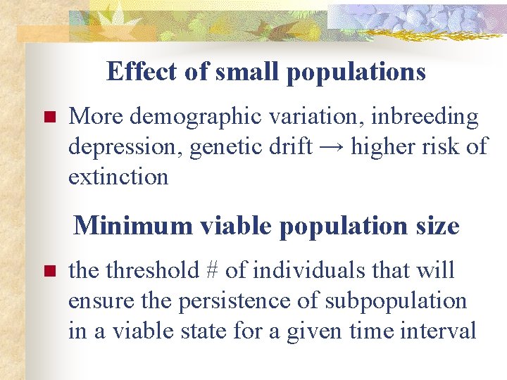 Effect of small populations n More demographic variation, inbreeding depression, genetic drift → higher