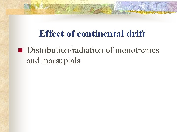 Effect of continental drift n Distribution/radiation of monotremes and marsupials 