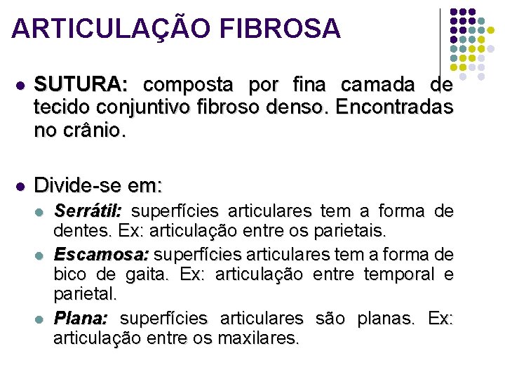 ARTICULAÇÃO FIBROSA l SUTURA: composta por fina camada de tecido conjuntivo fibroso denso. Encontradas