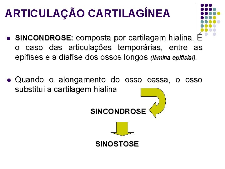 ARTICULAÇÃO CARTILAGÍNEA l SINCONDROSE: composta por cartilagem hialina. É o caso das articulações temporárias,