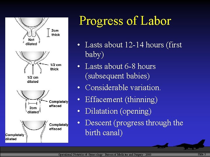 Progress of Labor • Lasts about 12 -14 hours (first baby) • Lasts about