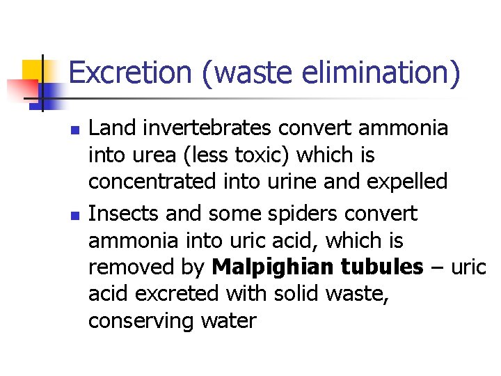 Excretion (waste elimination) n n Land invertebrates convert ammonia into urea (less toxic) which