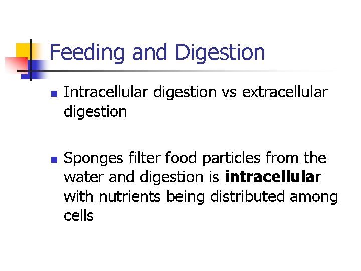 Invertebrates Anatomy and Physiology in Invertebrates Support and