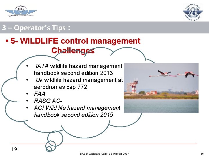 3 – Operator’s Tips : • 5 - WILDLIFE control management Challenges • •