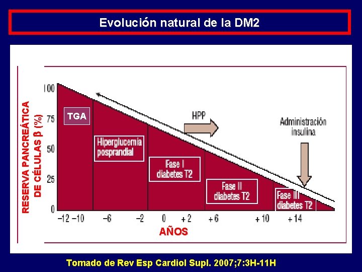 RESERVA PANCREÁTICA DE CÉLULAS (%) Evolución natural de la DM 2 TGA AÑOS Tomado