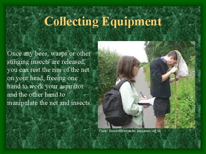 Collecting Equipment Once any bees, wasps or other stinging insects are released, you can