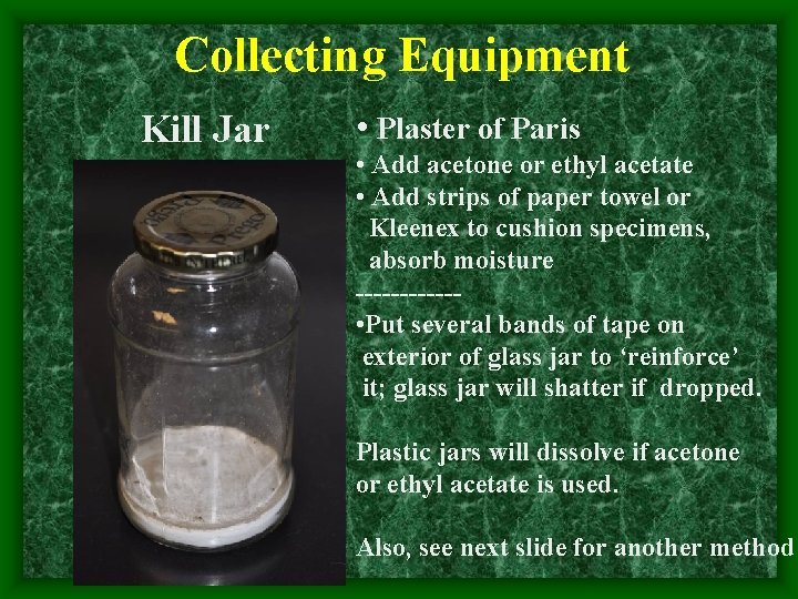 Collecting Equipment Kill Jar • Plaster of Paris • Add acetone or ethyl acetate