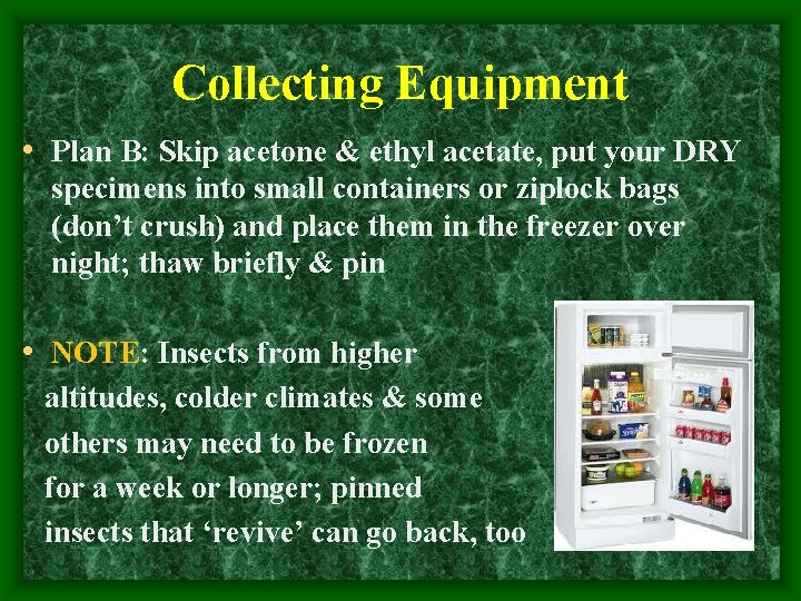 Collecting Equipment • Plan B: Skip acetone & ethyl acetate, put your DRY specimens