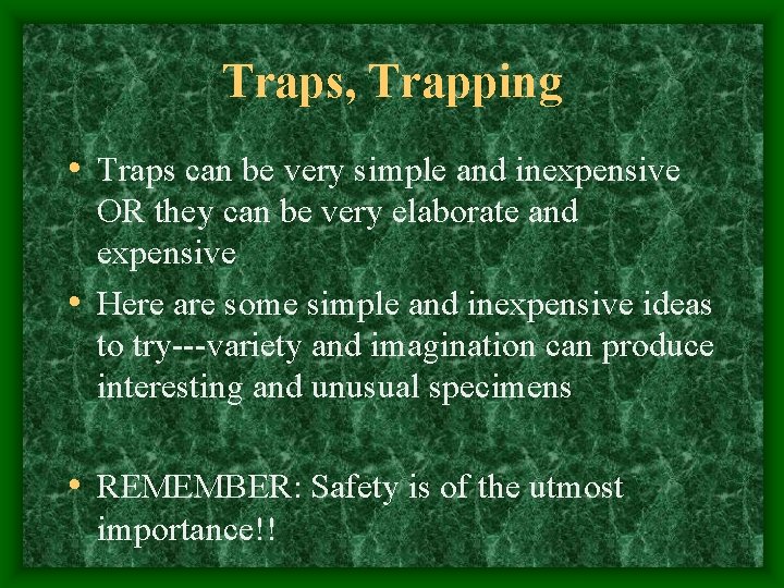 Traps, Trapping • Traps can be very simple and inexpensive OR they can be