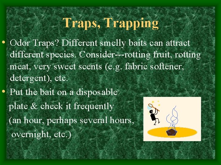 Traps, Trapping • Odor Traps? Different smelly baits can attract different species. Consider---rotting fruit,