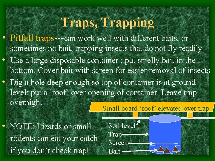 Traps, Trapping • Pitfall traps---can work well with different baits, or sometimes no bait,