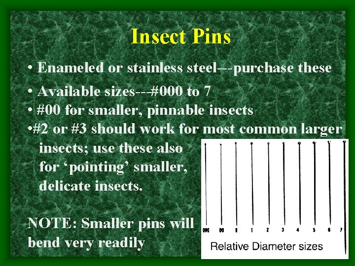 Insect Pins • Enameled or stainless steel---purchase these • Available sizes---#000 to 7 •