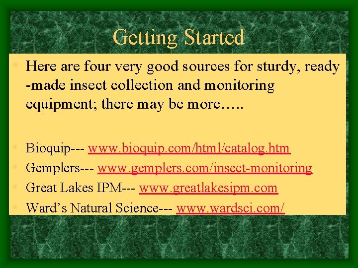 Getting Started • Here are four very good sources for sturdy, ready -made insect