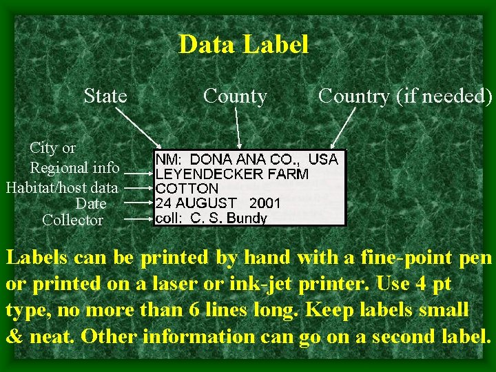 Data Label State County Country (if needed) City or Regional info Habitat/host data Date
